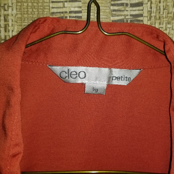 Sz L CLEO Long sleeved Orange Blouse - Picture 4 of 7